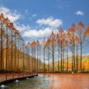 청사로-3 이미지