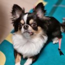 옹심이네살롱 이미지