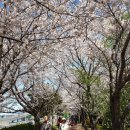 구포고가교 이미지