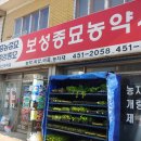 보성종묘농약사 이미지