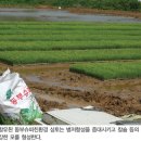 동부슈퍼 이미지