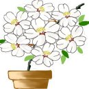 신선설농탕자양점 이미지