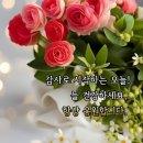 좋은하루 이미지