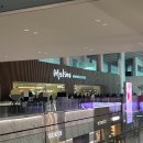 라운지 | 인천공항 제2터미널 마티나 라운지 이용 후기 (위치, 연휴 웨이팅, 음식)