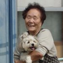 동원직업소개소 - 남양주시 금곡로 1 | 동원직업소개소