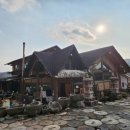 너구리의 피난처 이미지