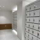 얼라이브 짐 이미지