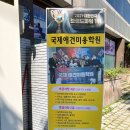 광주 남구 애견미용 비숑다움