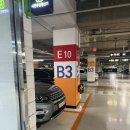 가락서비스 | 가락시장 도다리 먹으러 다녀온 향기수산 후기, 해산물 서비스까지 푸짐했던 곳
