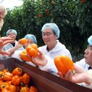 지사농장 이미지