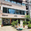 일성목장 | [대학동 넓은 카페] 고양이와 책과 맛있는 커피가 있는 카페앤밀 치포리 내돈내산 후기(+반려견 동반)