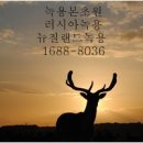 녹용본초원 이미지