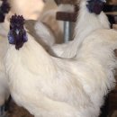 표장농장 이미지