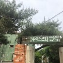 숲속반디 이미지