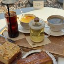 그대에게 드리는 노 이미지