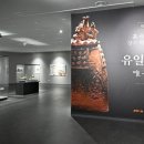 장수-8 아시아경제