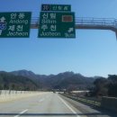붕어의 신 이미지