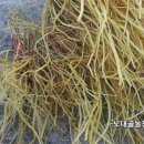 우슬농장 이미지