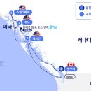 팀 크루즈 이미지