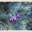 문산2리 이미지