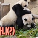 루이농장 이미지