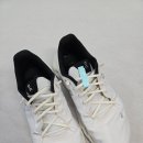 엄마손 운동화 손세탁 | 온러닝 운동화 세탁 후기, 손세탁으로 쿠션 그대로 살린 강남명품 성우세탁 이용기