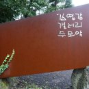 제주몬 이미지