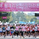 주식회사 핑크리본