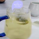 법인다도락