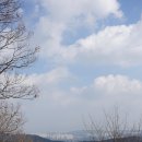 세동식당 이미지