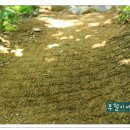 마비정 누리길 이미지