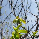 (주)대정 이미지