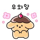 101 애견미용 이미지