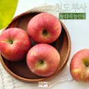 청송 부사 사과 고당도 꿀사과 보관법 돌쇠네농산물