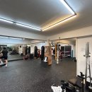 고트 복싱 이미지