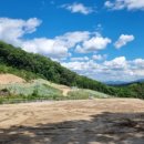 팝콘공인중개사사무소 이미지