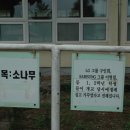 지수초등학교 이미지