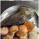 조개정육점 신중동점 이미지