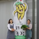 태연농장 이미지