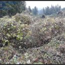 도순주유소 이미지