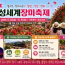 GS25 곡성읍내점 | 곡성 세계장미축제 개막 정보와 고향사랑기부제 혜택 정리