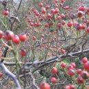 다온도서관 이미지