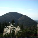 창천목장 이미지