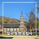 늘푸른동명 | 대구 근교 사찰 동명 팔공산 송림사 천년고찰 후기