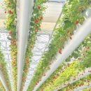 오정농장 이미지