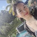 세모수학 이미지