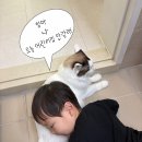 공작어린이집 | 쥬벅스 30개월 아이랑 갈만한 곳, 인천 사창동 실내동물원