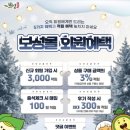 보성녹차테크