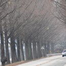 곡성 여행 화이트 크리스마스 이미지