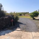 판포리 사무소 이미지